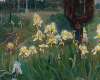 Irises in the graveyard
