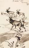 The Deer-Stalker, Oct. 15, 1852