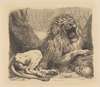 A Study from Nature; a lion among rocks, roaring, a human skull lower right