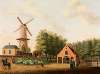 Village with a Windmill