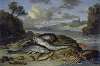Still Life with Fish and Sea Animals in a Coastal Landscape