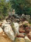 A Mountain Stream with a White Rock