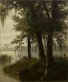 Swamp Scene