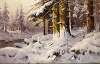 Wintry forest landscape