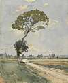 L’arbre au bord de la route