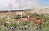 A Horse and Donkeys in a Summer Meadow with Gypsy Camp Beyond