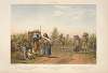 Road from Tacubaya to Chapultepec, dresses of Mexican Indians.