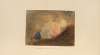 Ludovico Caracci’s Principle