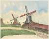 Papiermolen De Bijenkorf en verfmolen De Valk, met op de achtergrond een derde molen