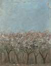 Apple trees in blossom (Blommande äppelträd)