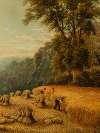 A cornfield shire, Surrey