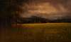 Showers, Upper Napa Valley