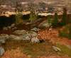 Forest Landscape