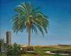 Ruins in a landscape with a palm tree