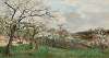 Arbres en fleurs