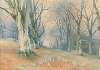 Fairies and squirrels in a forest