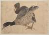 Album of Sketches by Katsushika Hokusai and His Disciples Pl.37