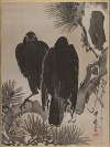 Two Crows on a Pine Branch