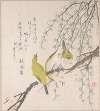 Japanese White-eyes with Plum Tree and Willow, from Spring Rain Surimono Album (Harusame surimono-jō, vol. 3)