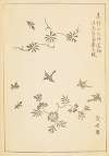 Shin-Bijutsukai Pl.104