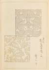 Shin-Bijutsukai Pl.206