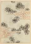 Shin-Bijutsukai Pl.226