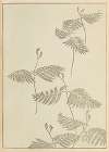 Shin-Bijutsukai Pl.230