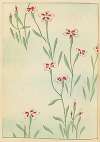 Shin-Bijutsukai Pl.239