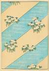 Shin-Bijutsukai Pl.243