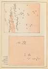 Shin-Bijutsukai Pl.361
