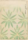 Shin-Bijutsukai Pl.369