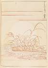 Shin-Bijutsukai Pl.432