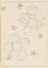 Shin-Bijutsukai Pl.454