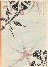 Shin-Bijutsukai Pl.472