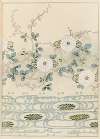 Shin-Bijutsukai Pl.492