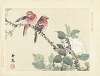 Twee rode vogels op tak met witte bloem