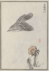 Bairei hyakuchō gafu. Ten Pl.02