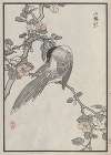 Bairei hyakuchō gafu. Ten Pl.03