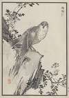 Bairei hyakuchō gafu. Ten Pl.07