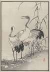 Bairei hyakuchō gafu. Ten Pl.08