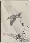 Bairei hyakuchō gafu. Ten Pl.10