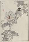 Bairei hyakuchō gafu. Ten Pl.13