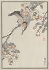 Bairei hyakuchō gafu. Ten Pl.15
