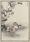 Bairei hyakuchō gafu. Ten Pl.17