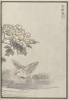 Bairei hyakuchō gafu. Ten Pl.18