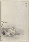 Bairei hyakuchō gafu. Ten Pl.20