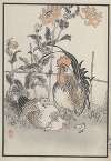 Bairei hyakuchō gafu. Ten Pl.21