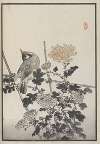 Bairei hyakuchō gafu. Ten Pl.22