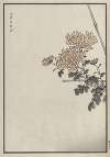 Bairei hyakuchō gafu. Ten Pl.23