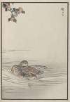 Bairei hyakuchō gafu. Ten Pl.24